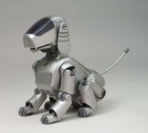 chien