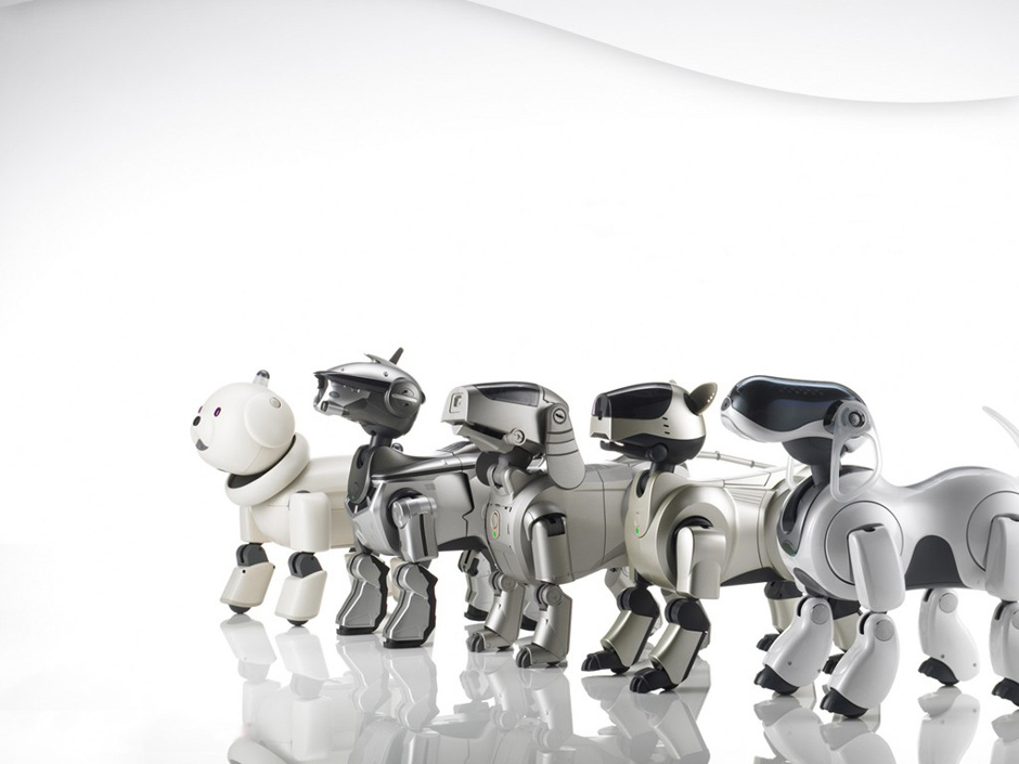 aibo